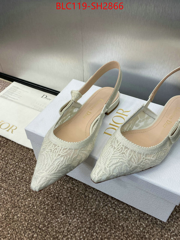 Women Shoes-Dior luxury shop ID: SH2866 $: 119USD