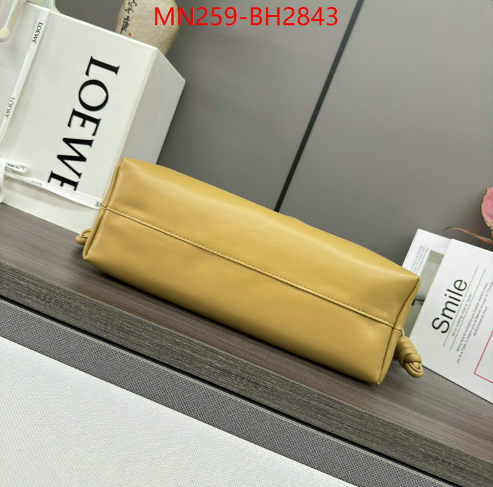 Loewe Bags(TOP)-Handbag- supplier in china ID: BH2843 $: 259USD,