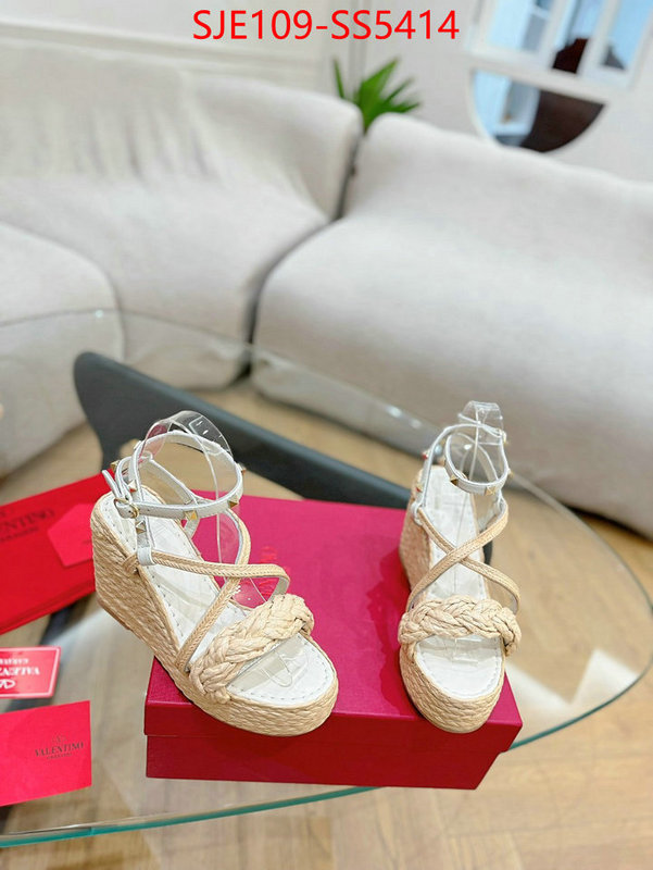 Women Shoes-Valentino store ID: SS5414 $: 109USD