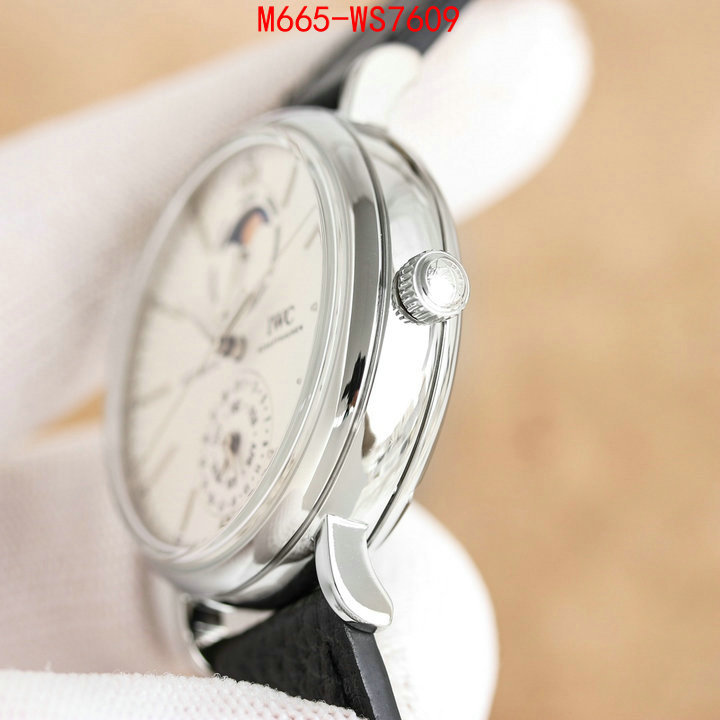 Watch(TOP)-IWC are you looking for ID: WS7609 $: 665USD