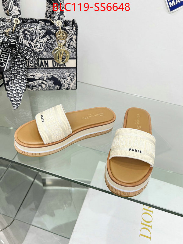 Women Shoes-Dior only sell high-quality ID: SS6648 $: 119USD