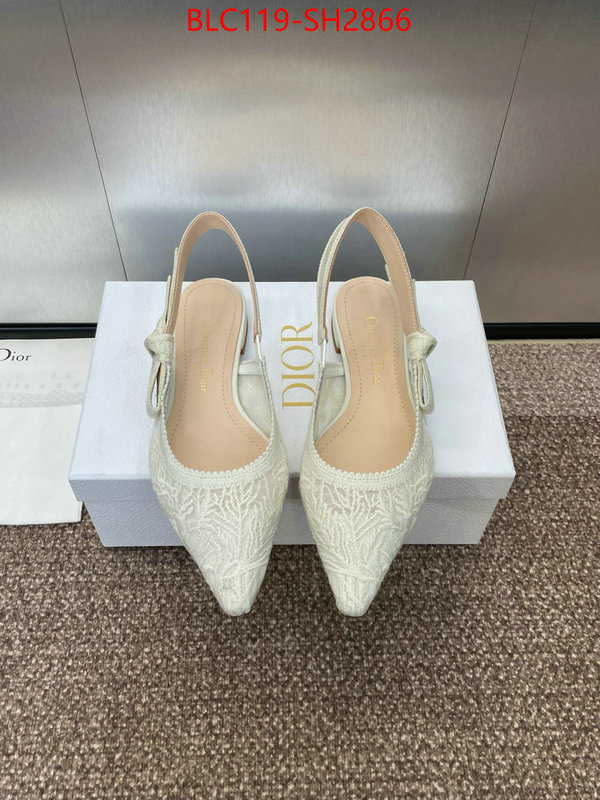 Women Shoes-Dior luxury shop ID: SH2866 $: 119USD