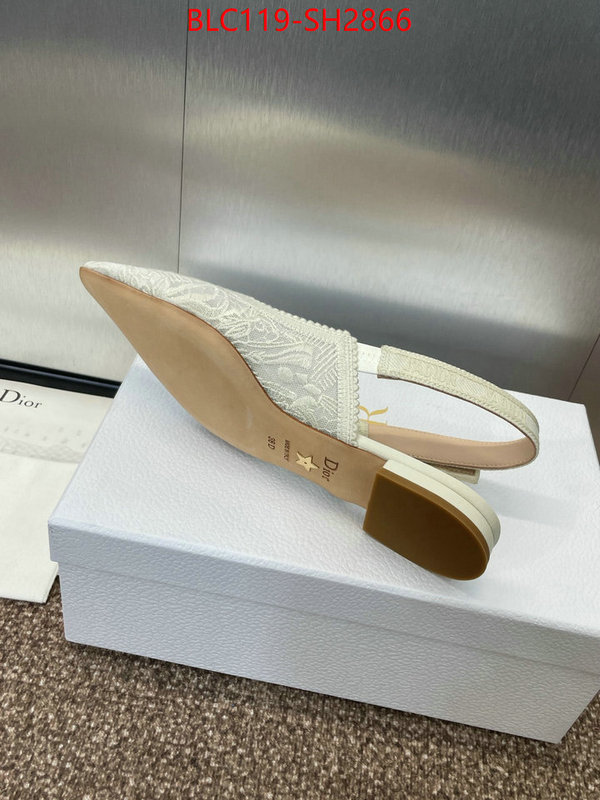 Women Shoes-Dior luxury shop ID: SH2866 $: 119USD