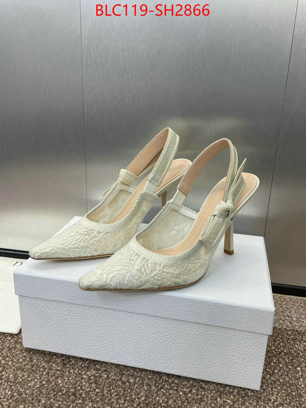 Women Shoes-Dior luxury shop ID: SH2866 $: 119USD