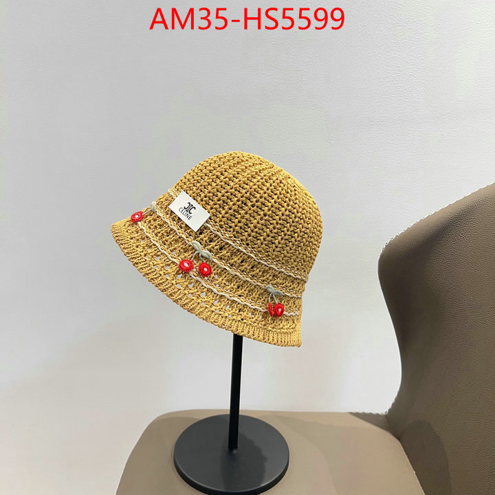 Cap(Hat)-Celine buy the best high quality replica ID: HS5599 $: 35USD