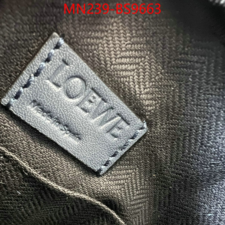 Loewe Bags(TOP)-Crossbody- luxury cheap ID: BS9663 $: 239USD,