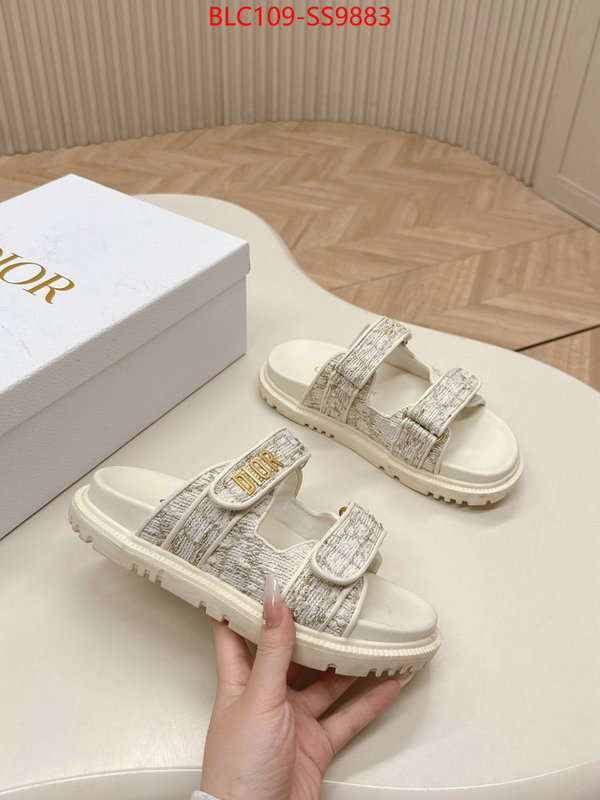Women Shoes-Dior for sale online ID: SS9883 $: 109USD