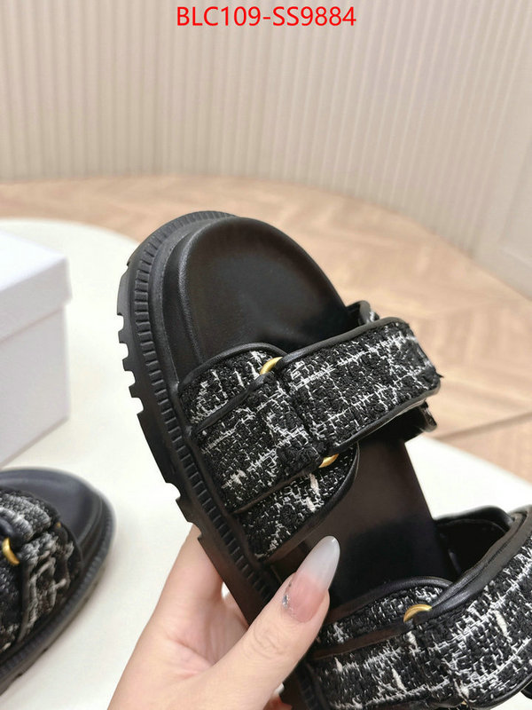 Women Shoes-Dior wholesale 2024 replica ID: SS9884 $: 109USD