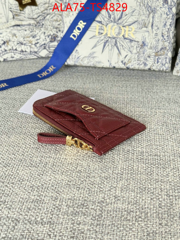 ID: TS4829 $: 75USD,
