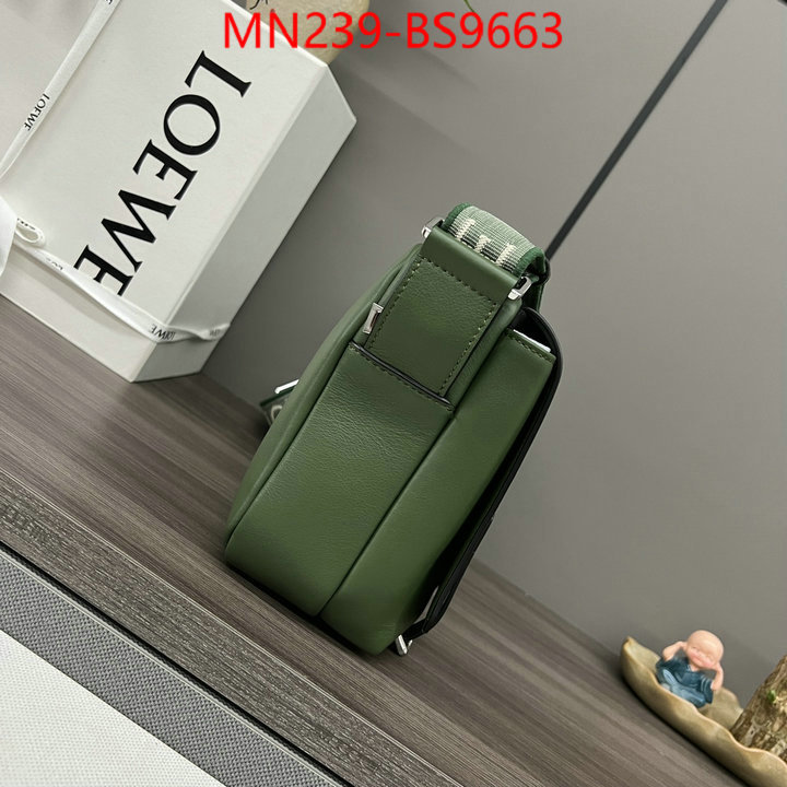 Loewe Bags(TOP)-Crossbody- luxury cheap ID: BS9663 $: 239USD,