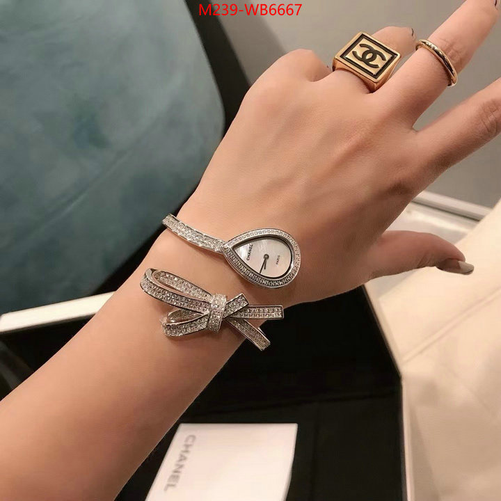 ID: WB6667