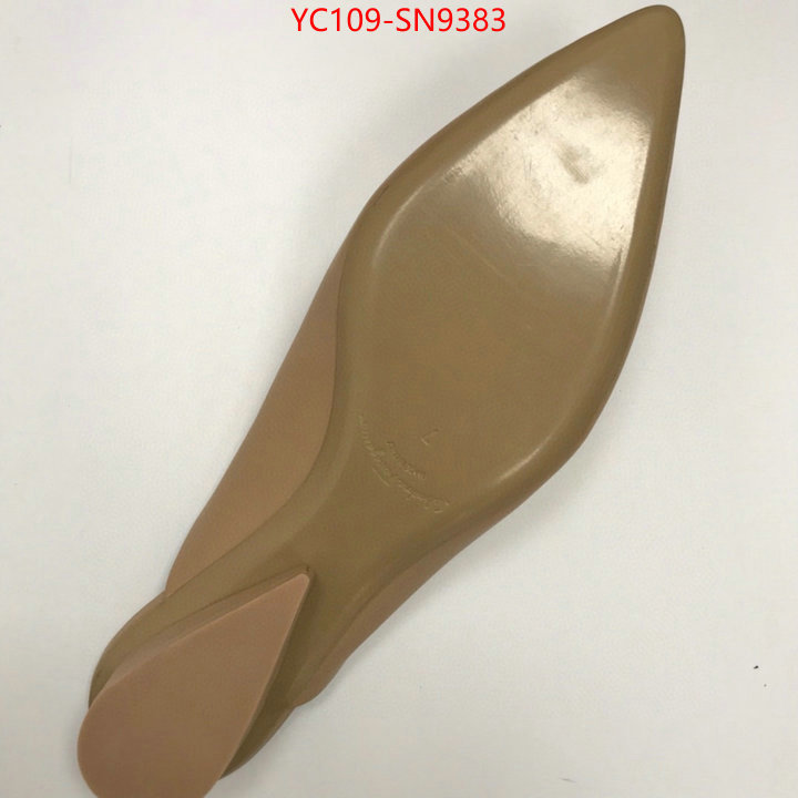 1:1 clone ID: SN9383