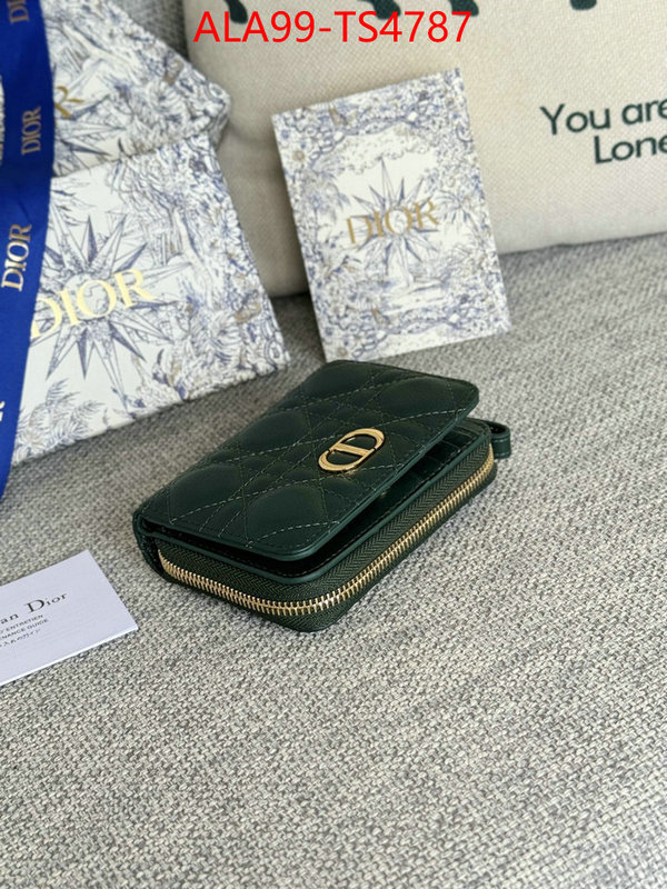 ID: TS4787 $: 99USD,