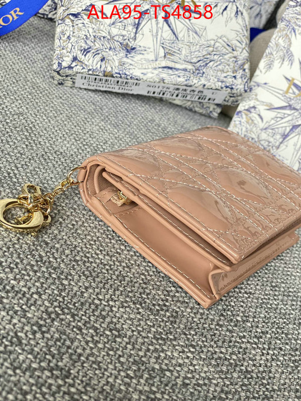 ID: TS4858 $: 95USD,