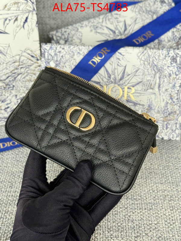 ID: TS4783 $: 75USD,