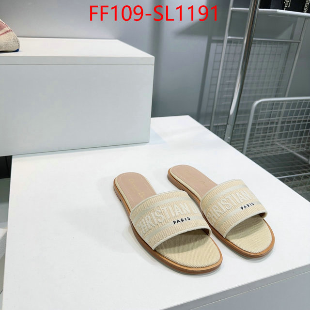Women Shoes-Dior where to buy high quality ID: SL1191 $: 109USD