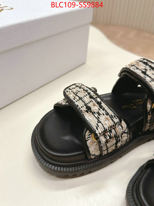 Women Shoes-Dior wholesale 2024 replica ID: SS9884 $: 109USD