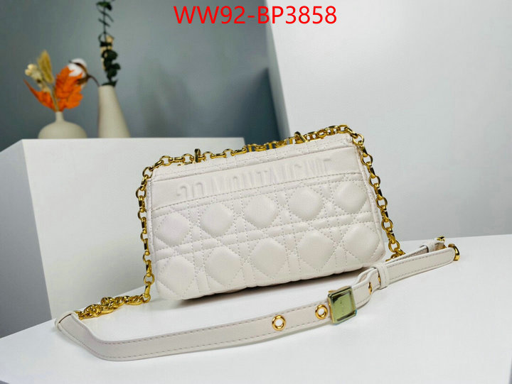ID: BP3858 $: 92USD,
