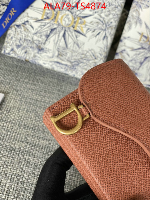 ID: TS4874 $: 79USD,