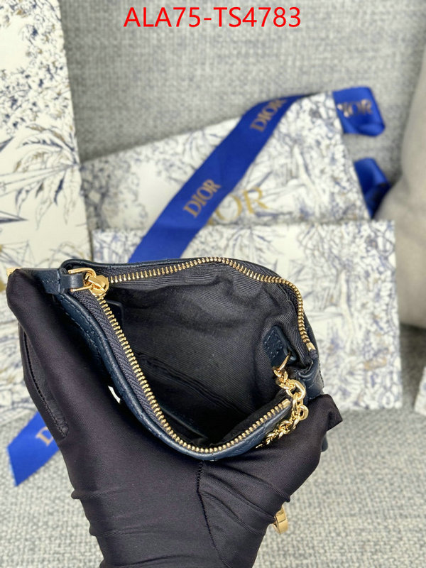 ID: TS4783 $: 75USD,