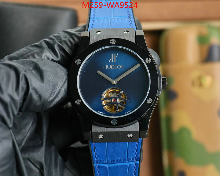 ID: WA9524