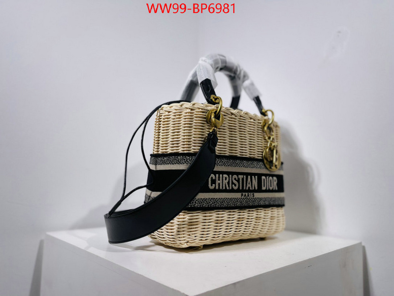 ID: BP6981 $: 99USD,