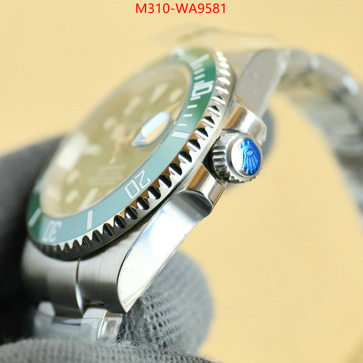ID: WA9581