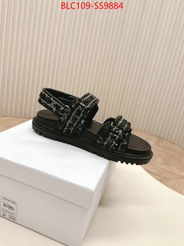 Women Shoes-Dior wholesale 2024 replica ID: SS9884 $: 109USD