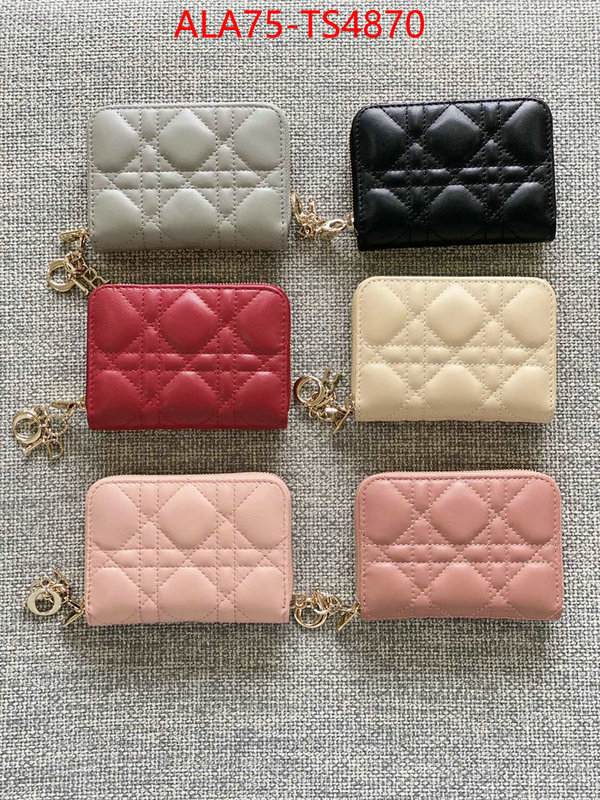 ID: TS4870 $: 75USD,