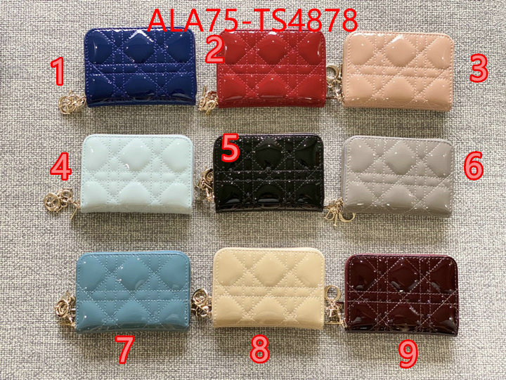 ID: TS4878 $: 75USD,