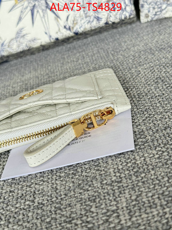 ID: TS4829 $: 75USD,