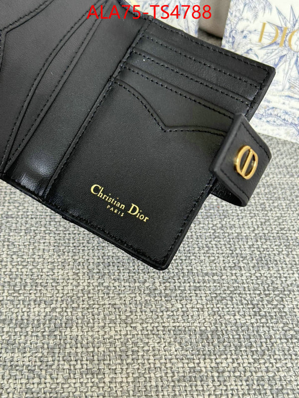ID: TS4788 $: 75USD,