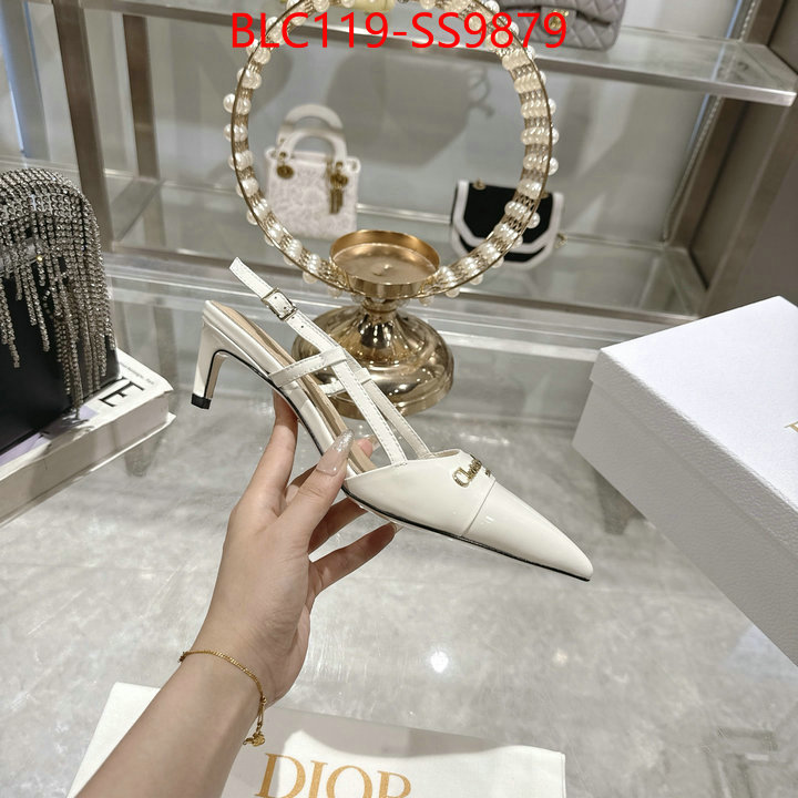 Women Shoes-Dior fashion replica ID: SS9879 $: 119USD-shoes yupoo Women Shoes-Dior fashion replica ID: SS9879 $: 119USD