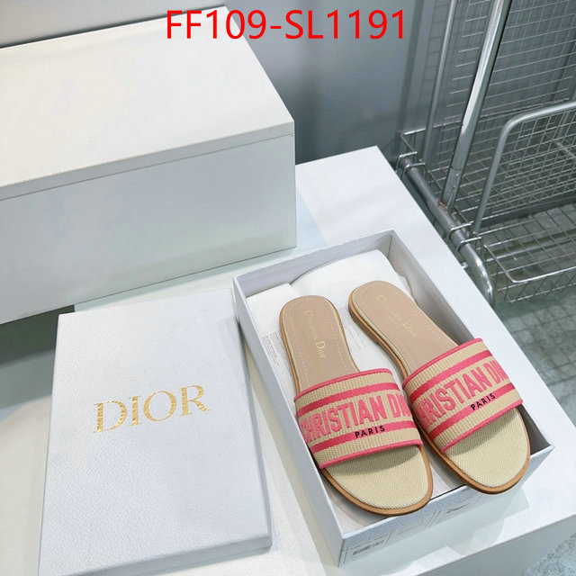 Women Shoes-Dior where to buy high quality ID: SL1191 $: 109USD