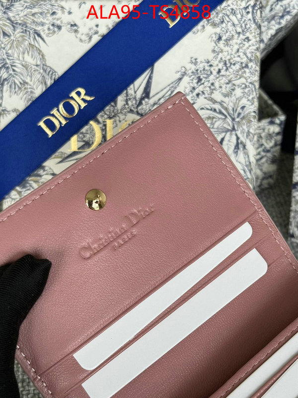 ID: TS4858 $: 95USD,