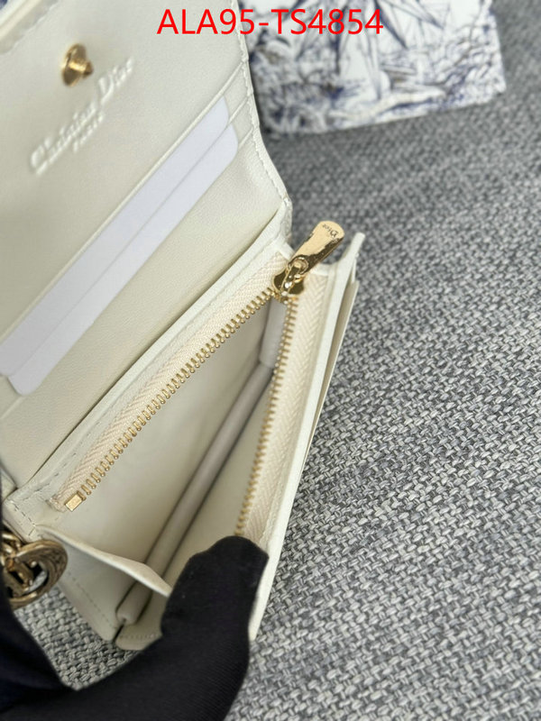 ID: TS4854 $: 95USD,