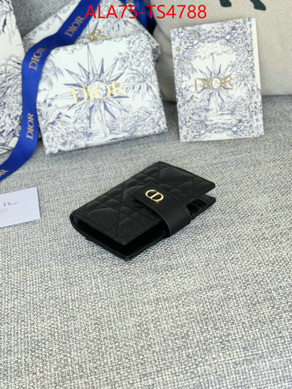 ID: TS4788 $: 75USD,