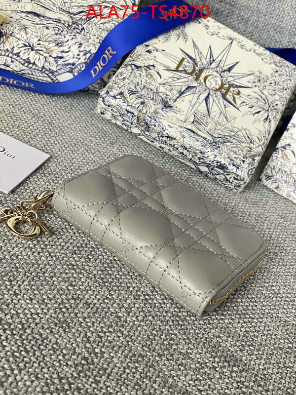 ID: TS4870 $: 75USD,