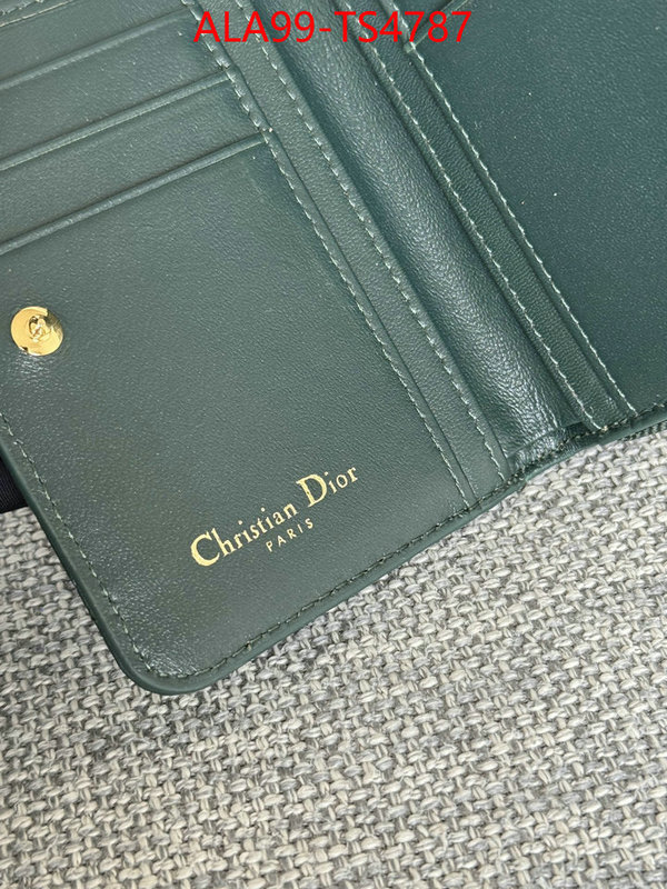 ID: TS4787 $: 99USD,