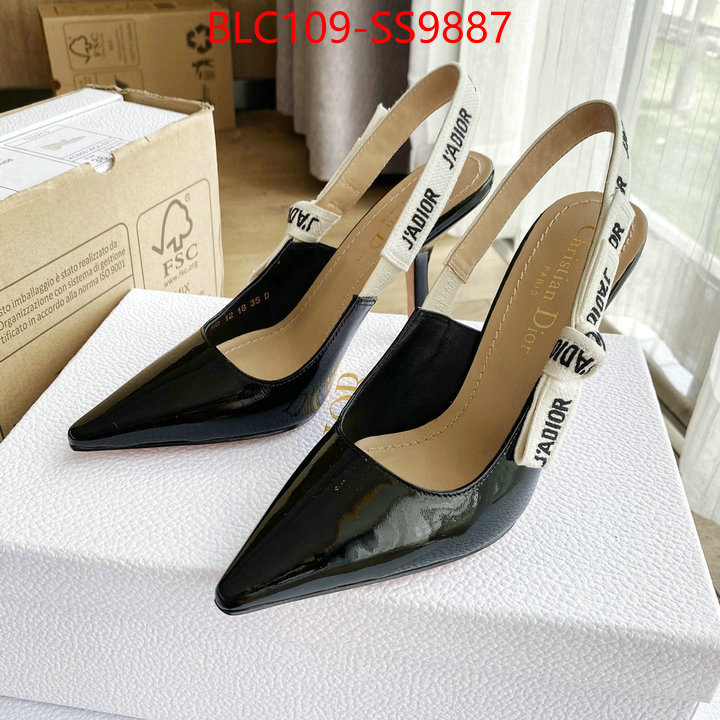 Women Shoes-Dior replica ID: SS9887 $: 109USD