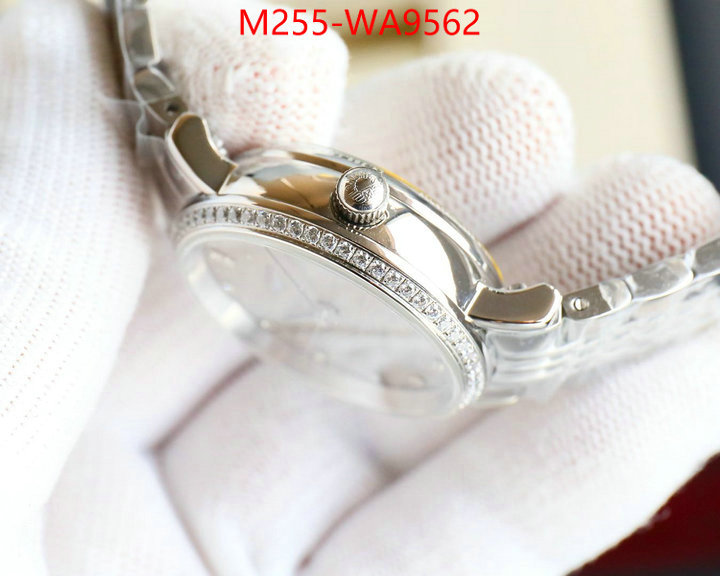 ID: WA9562