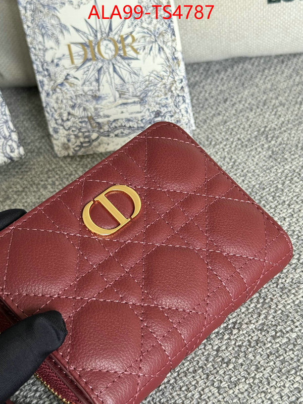 ID: TS4787 $: 99USD,