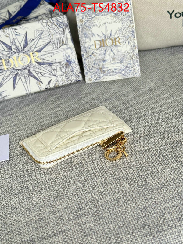 ID: TS4832 $: 75USD,