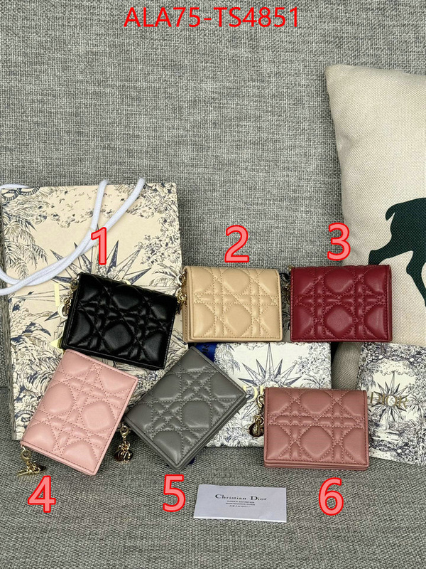 ID: TS4851 $: 75USD,