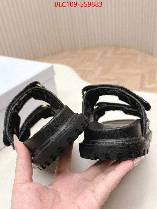 Women Shoes-Dior for sale online ID: SS9883 $: 109USD