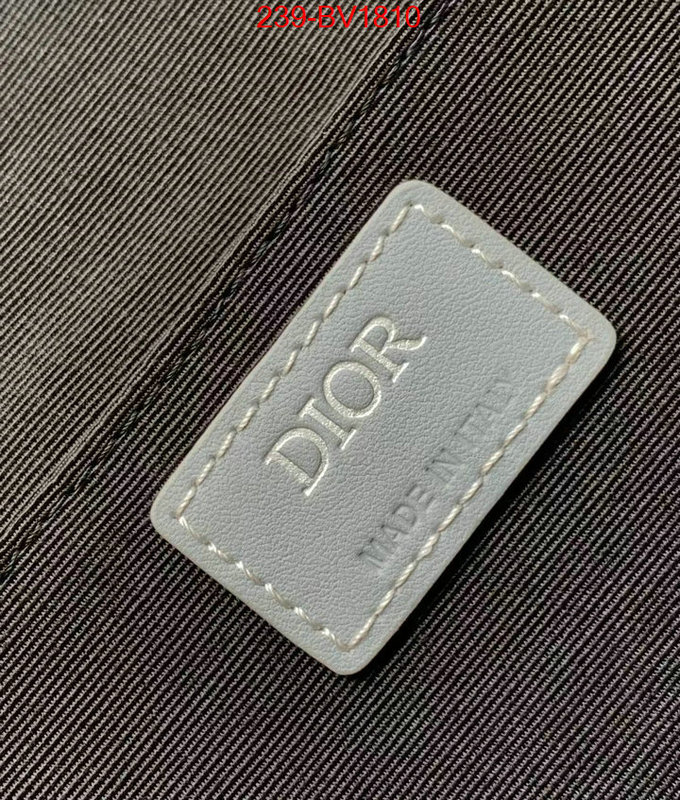 ID: BV1810 $: 239USD,