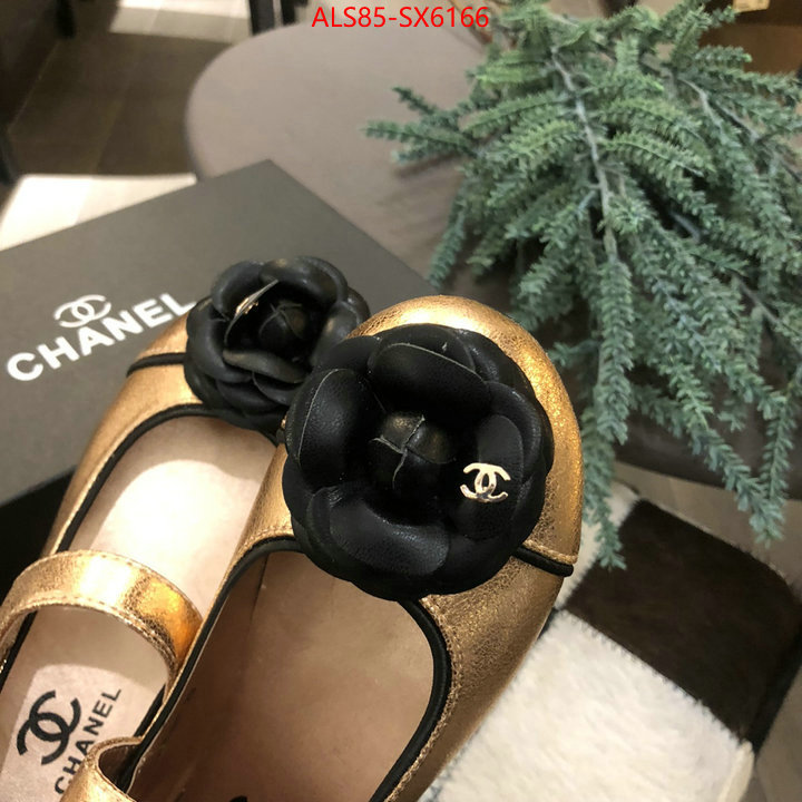 ID: SX6166