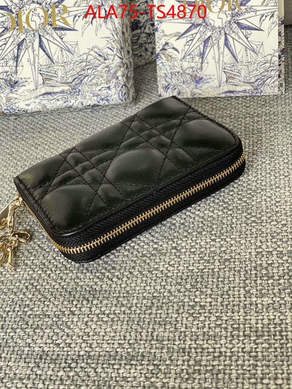 ID: TS4870 $: 75USD,