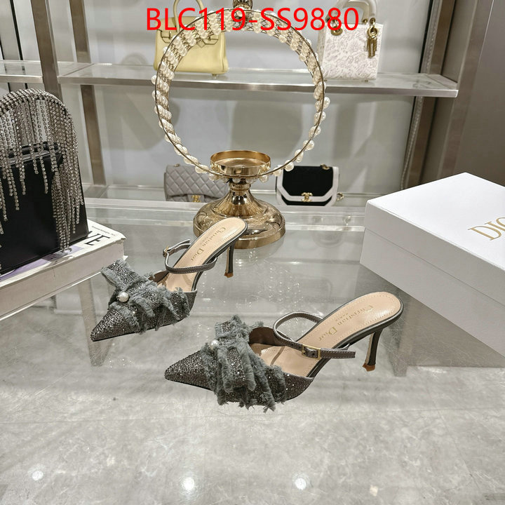 Women Shoes-Dior store ID: SS9880 $: 119USD