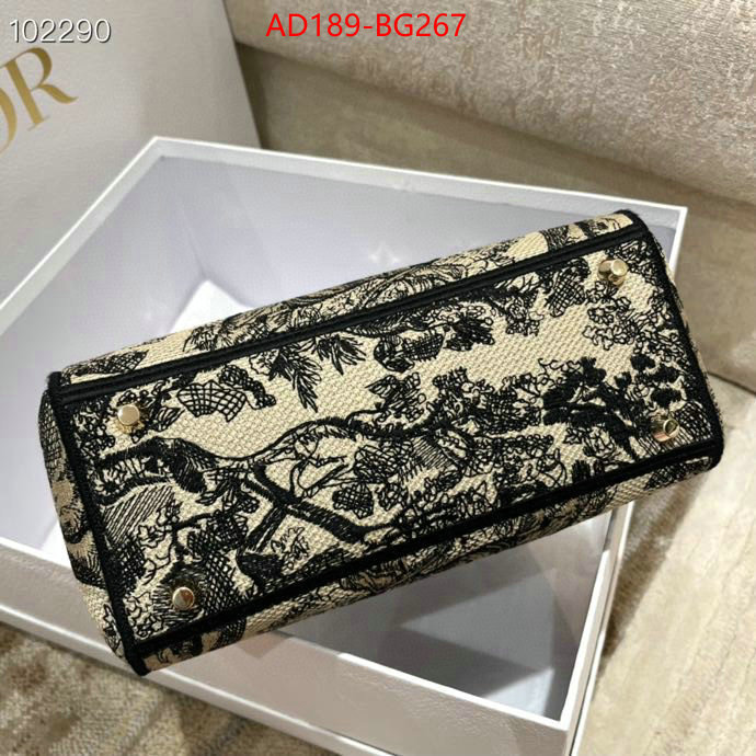 ID: BG267 $: 189USD,